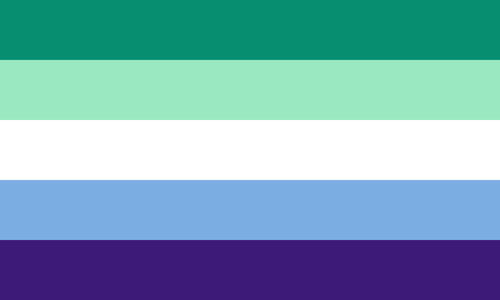 The gay man flag. It is five stripes, teal, mint, white, light blue, and indigo.