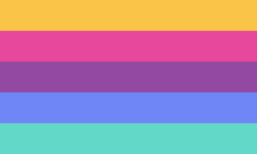 The bi gai flag. It is five stripes, gold, bright pink, purple, blue, and aqua.