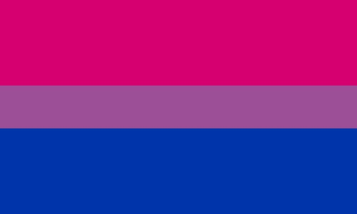 The bisexual flag. It is three stripes, pink, purple, and blue.