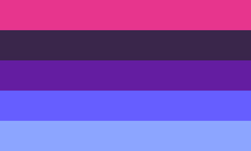 The omni gay flag. It is five stripes, hot pink, dark purple, purple, blue, and light blue.