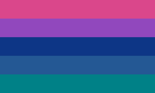 The bi gay flag. It is five stripes, pink, purple, dark blue, blue, and teal,