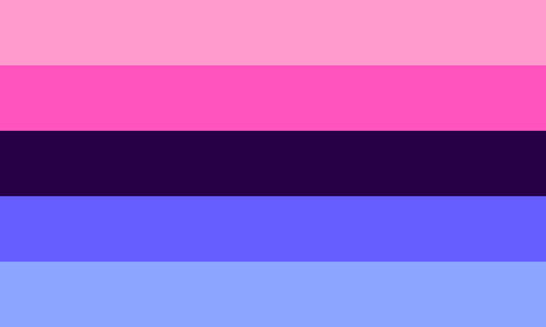 The omnisexual flag. It is five stripes, light pink, pink, navy blue, blue, and light blue.