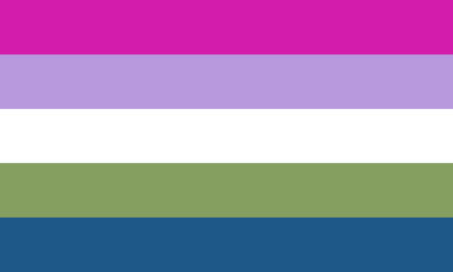 The genderqueer for genderqueer flag. It is five stripes, magenta, lavender, white, olive, and blue.
