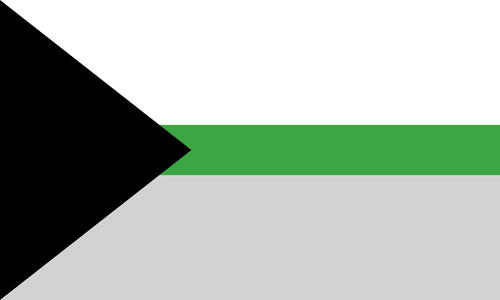 The demi-romantic flag. It is three stripes, white, green, and grey. The green stripe is very thin. On the left is a black triangle, pointing to the right.
