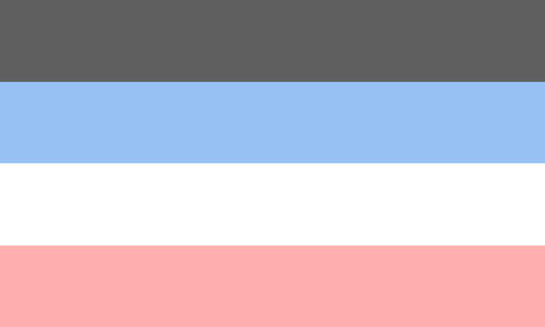 The idem-alterous flag. It is four stripes, grey, light blue, white, and pink.