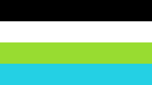 The quoisexual flag. It is four stripes, black, white, lime, and cyan.