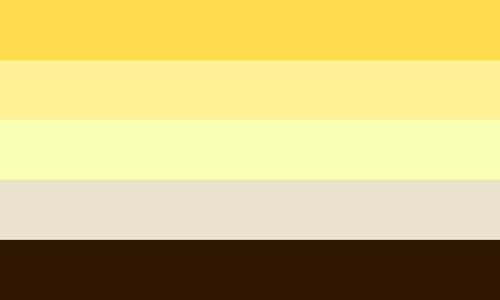 The angled aroace flag. It is five stripes, gold, yellow, light yellow, grey, and dark brown.