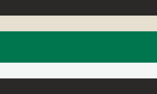 The club card gender flag. It is five stripes, black, cream, green, white and black.