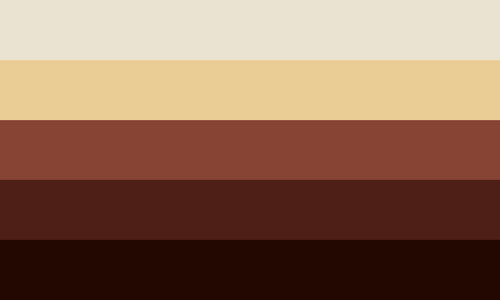 The rootbeeran flag. It is five stripes, white, cream, light brown, brown, and dark brown.