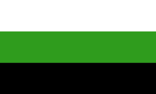 The neutrois flag. It is three stripes, white, green, and black.