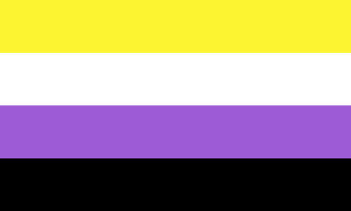 The nonbinary flag. It is four stripes, yellow, white, purple, black.