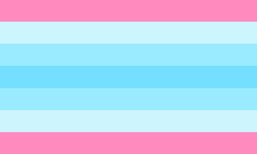 The transmasculine flag. It is seven stripes, pink, pale blue, light blue, blue, light blue, pale blue, and pink.