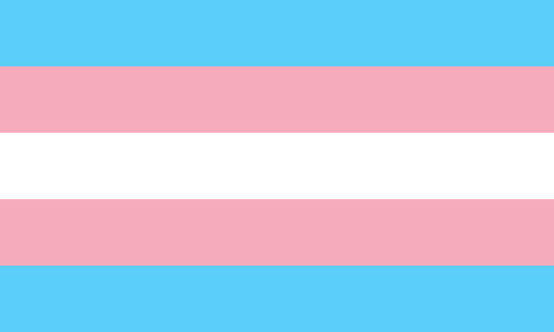 The transgender flag. It is five stripes, light blue, pink, white, pink, and light blue.