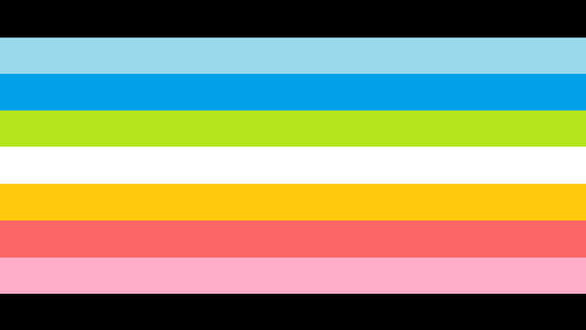 The queer flag. It is nine stripes, black, light blue, blue, lime, white, yellow, coral, pink, and black.